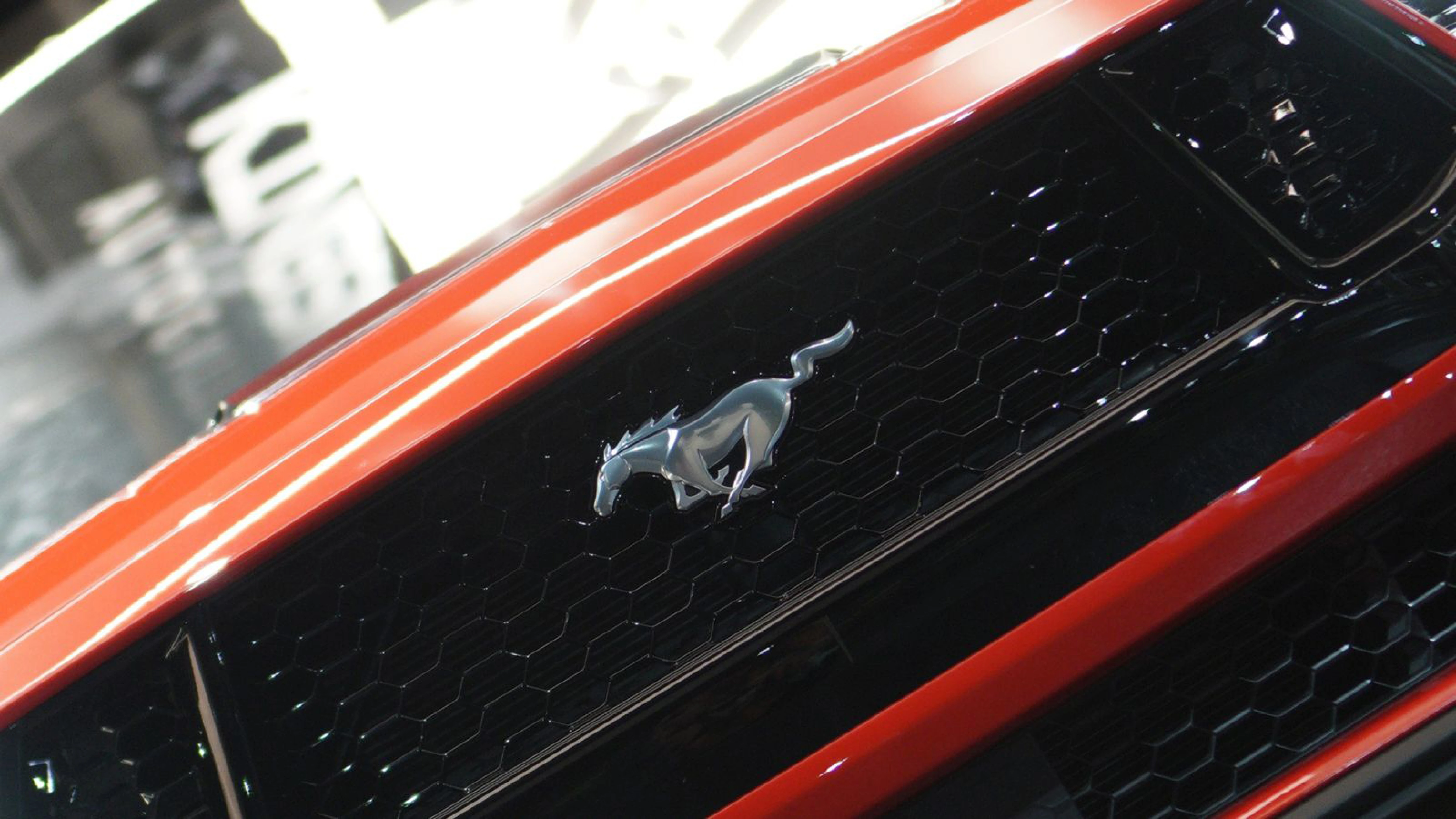 FORD MUSTANG 5.0 GT COUPE view 16